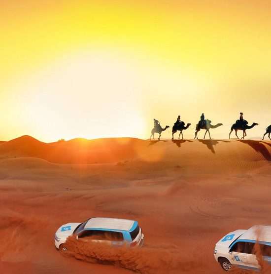Red Dunes Desert Safari 150 AED