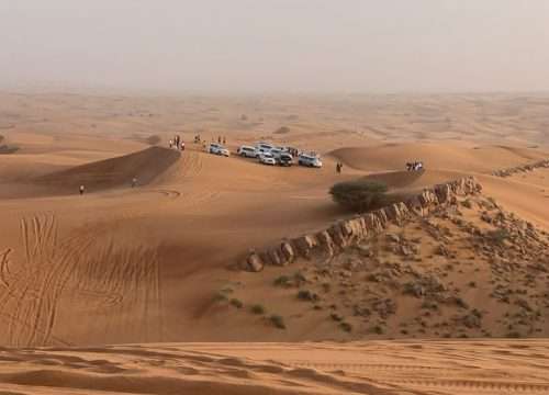 Premium Desert Safari 849