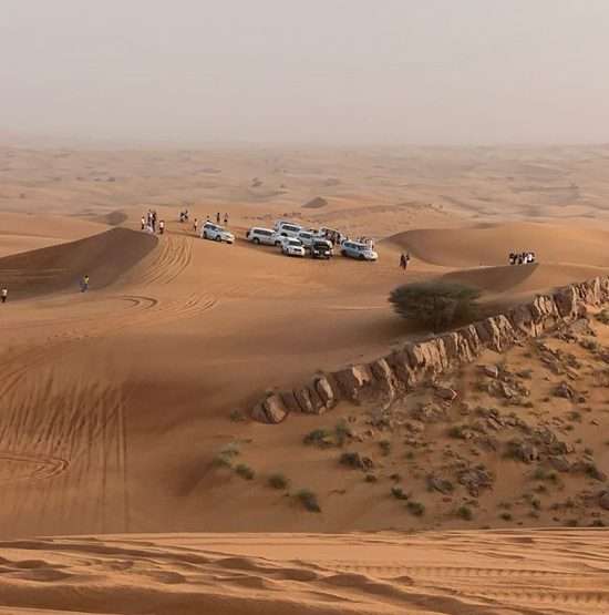 Premium Desert Safari 849