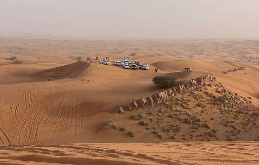 Premium Desert Safari 849